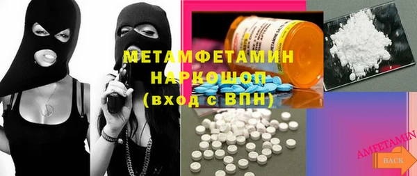 индика Богданович