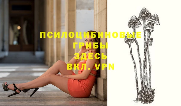 индика Богданович
