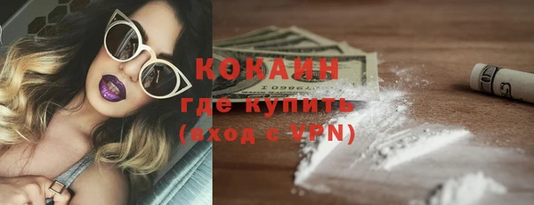 индика Богданович