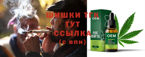 индика Богданович