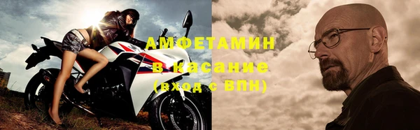 индика Богданович