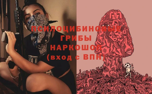 крисы Туринск