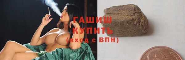 индика Богданович