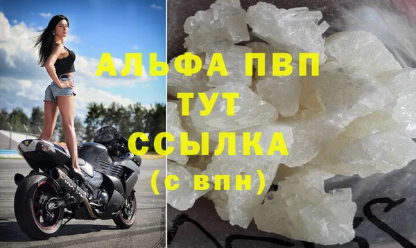индика Богданович