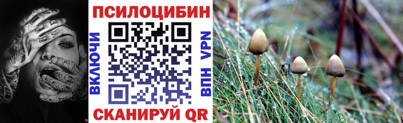 Галлюциногенные грибы MAGIC MUSHROOMS  купить наркоту  Колпашево 